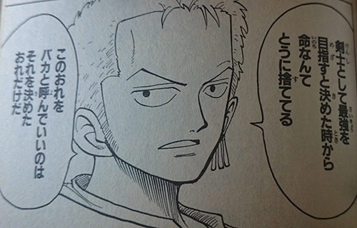 剣士として最強を目指すと決めた時から命なんてとうに捨ててる　このおれをバカと呼んでいいのはそれを決めたおれだけだ