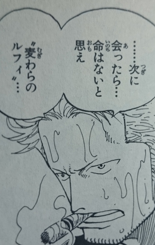 だが今回だけだぜ・・・おれがてめェらを見逃すのはな・・・・・・・・次に会ったら・・・命はないと思え“麦わらのルフィ”・・・