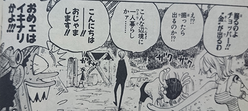 掘るのよチョッパー！！“金”が出るわ