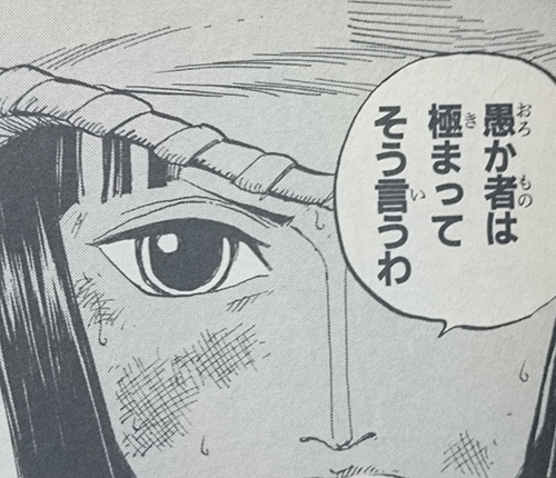 愚か者は極まってそう言うわ