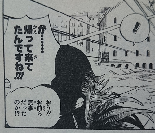 フランキーの「俺様の髪型特集」