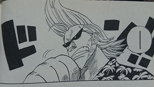 フランキーの「俺様の髪型特集」