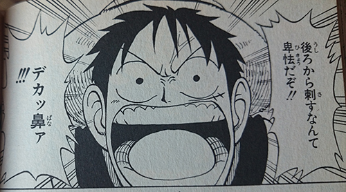 麦わらの一味の面白アダ名特集