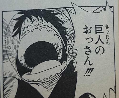 麦わらの一味の面白アダ名特集